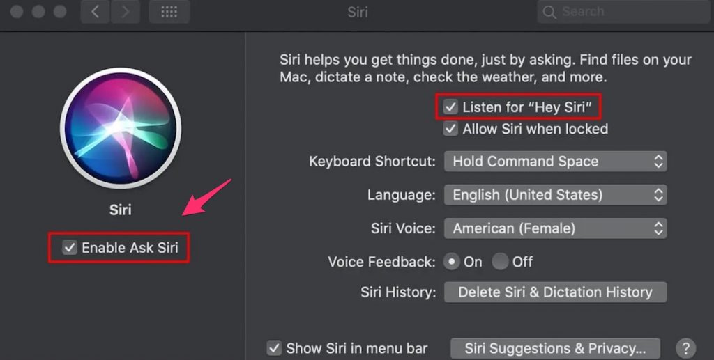 Активация Siri macos